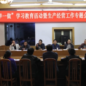 公司組織召開(kāi)“兩學(xué)一做”學(xué)習(xí)教育活動(dòng)暨生產(chǎn)經(jīng)營(yíng)工作專(zhuān)題會(huì)議