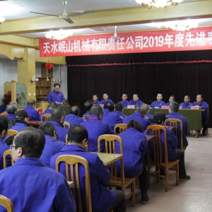 公司召開2019年度先進(jìn)表彰大會(huì)
