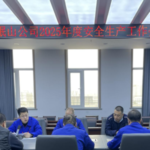 公司安委會召開2025年安全工作會議