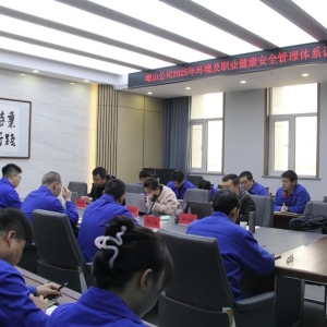 公司順利通過(guò)2025年度環(huán)境管理體系與職業(yè)健康安全管理體系認(rèn)證 ... ...